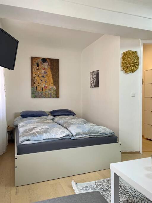 Milena Apartment Graz Exterior photo