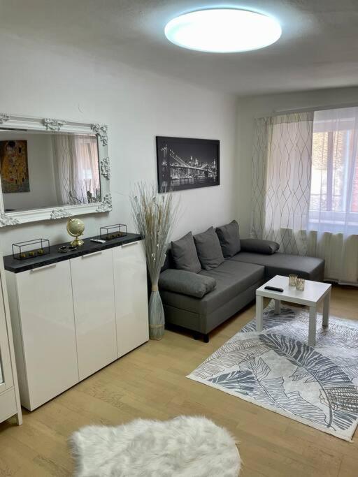 Milena Apartment Graz Exterior photo